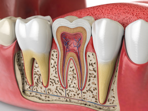 3D render of a root canal